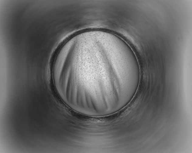 X0000093211270200710171335