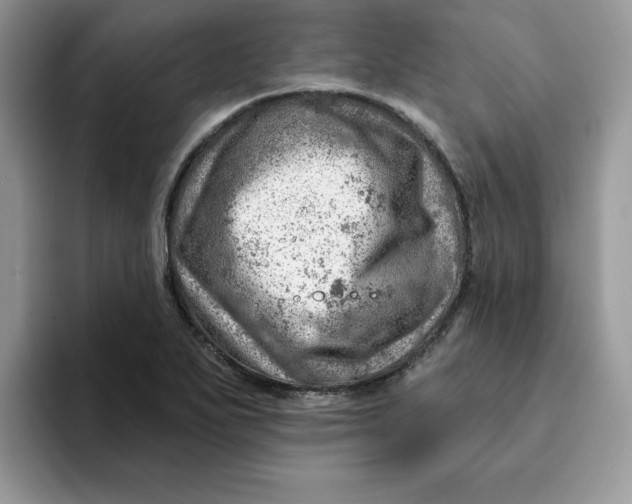 X0000093211271200710171335