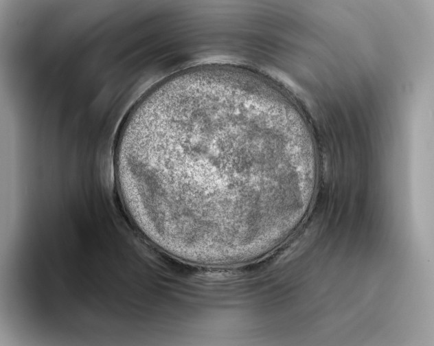 X0000093211274200710171335