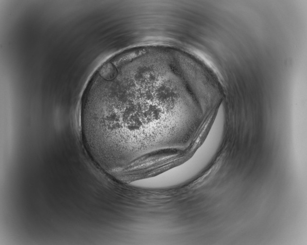 X0000093211275200710171335