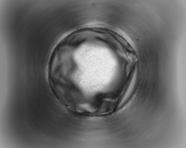 X0000093211277200710171335