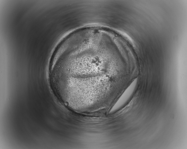 X0000093211279200710171334