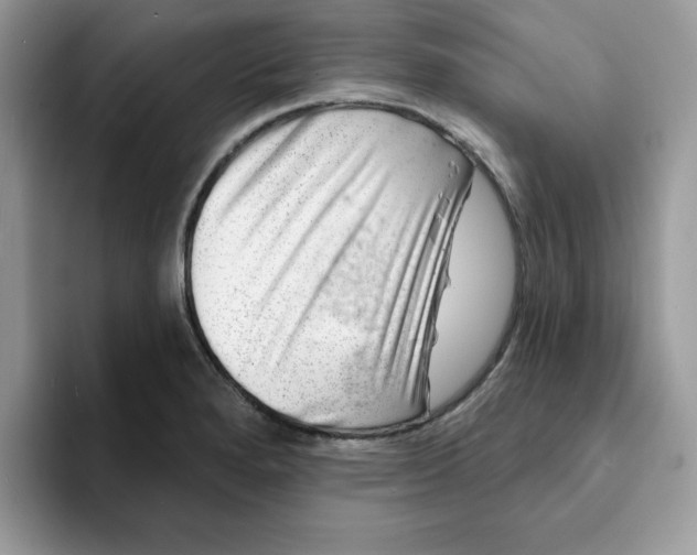 X0000093211280200710171334