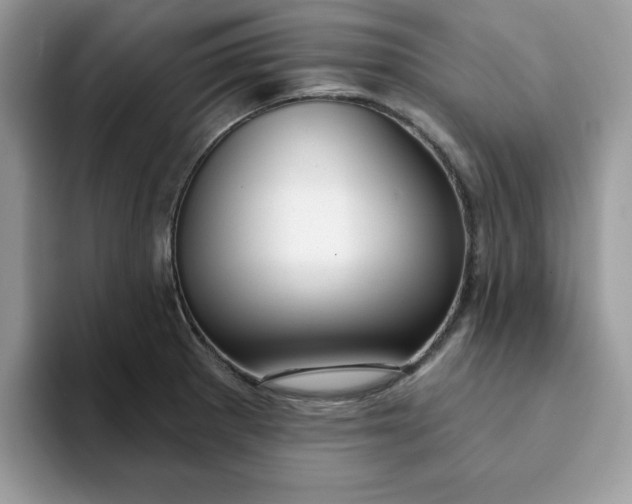 X0000093211281200710171334