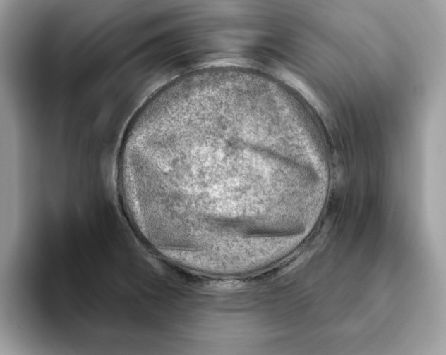 X0000093211282200710171334