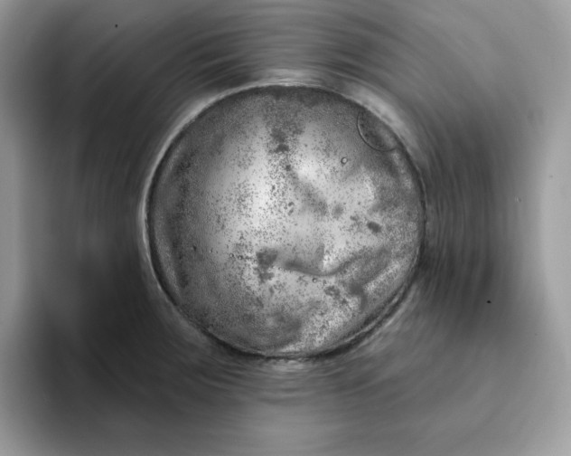 X0000093211283200710171334