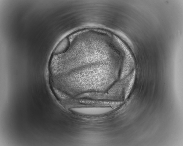 X0000093211287200710171334