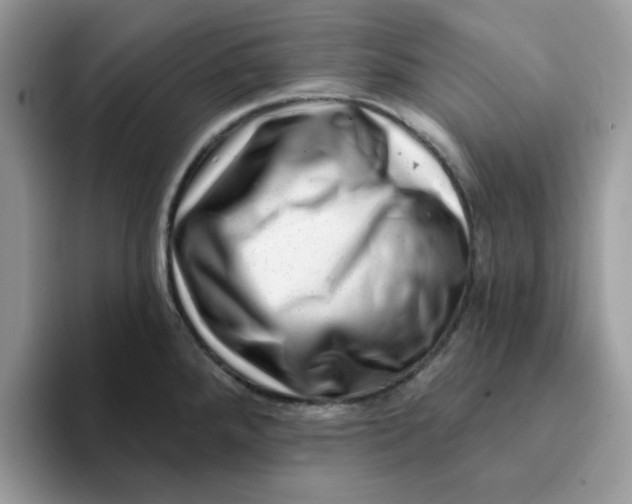 X0000093211288200710171334