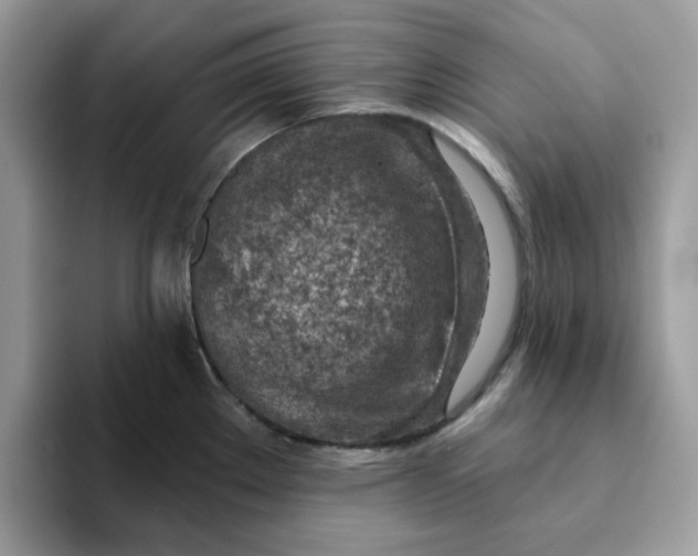 X0000093211289200710171334