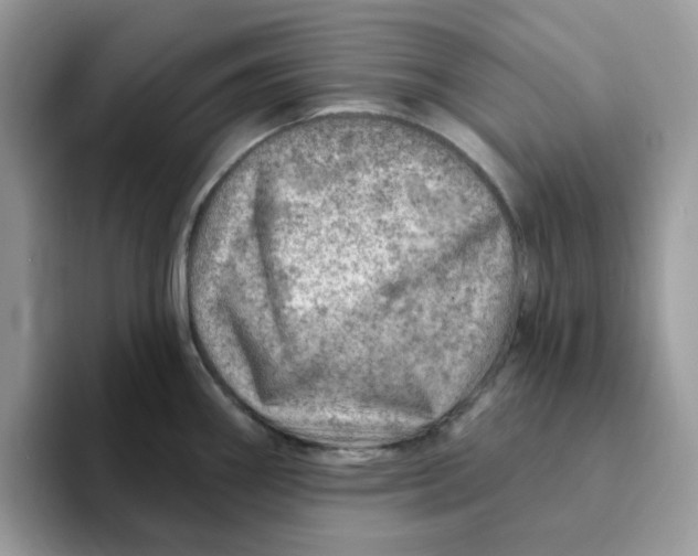 X0000093211290200710171334