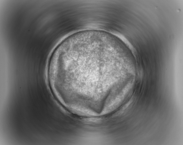 X0000093211294200710171334