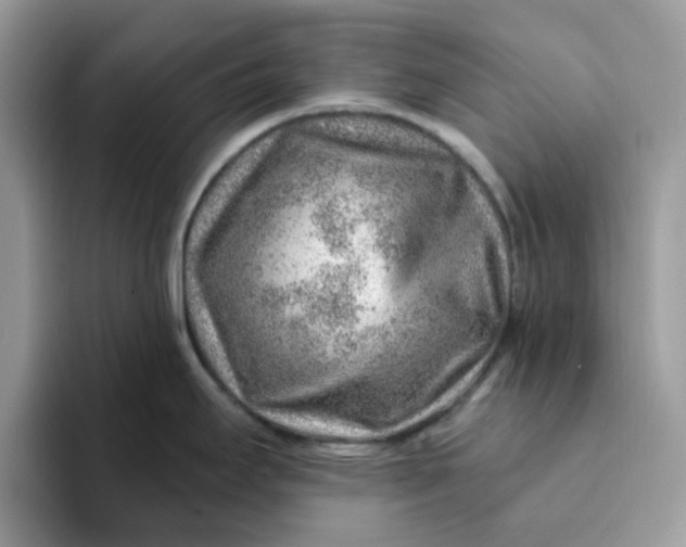 X0000093211295200710171334