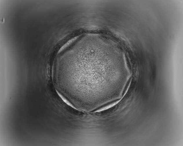 X0000093211301200710171334