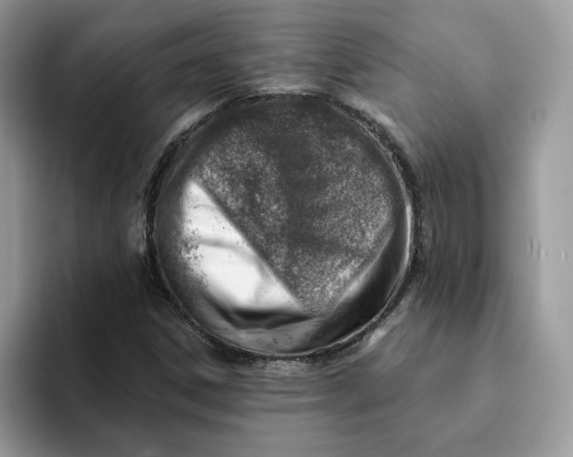 X0000093211306200710171334