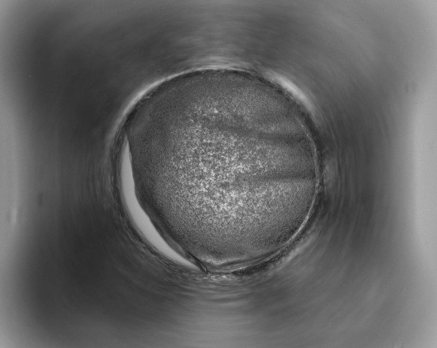 X0000093211310200710171334