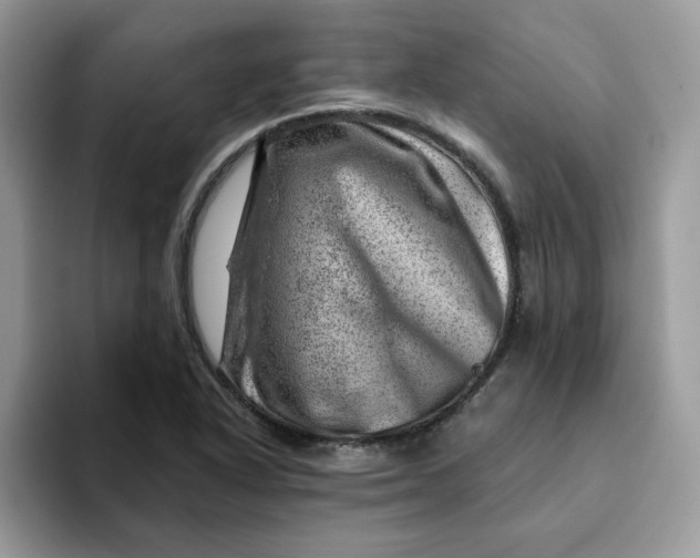 X0000093211318200710171334