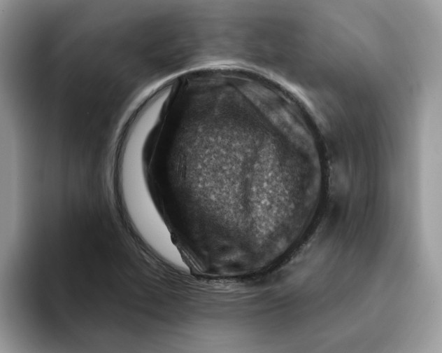 X0000093211319200710171334