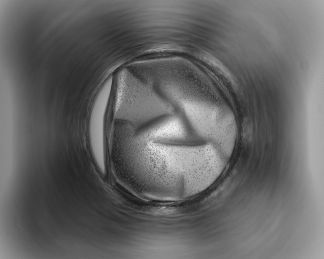 X0000093211321200710171334