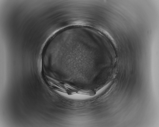 X0000093211323200710171334