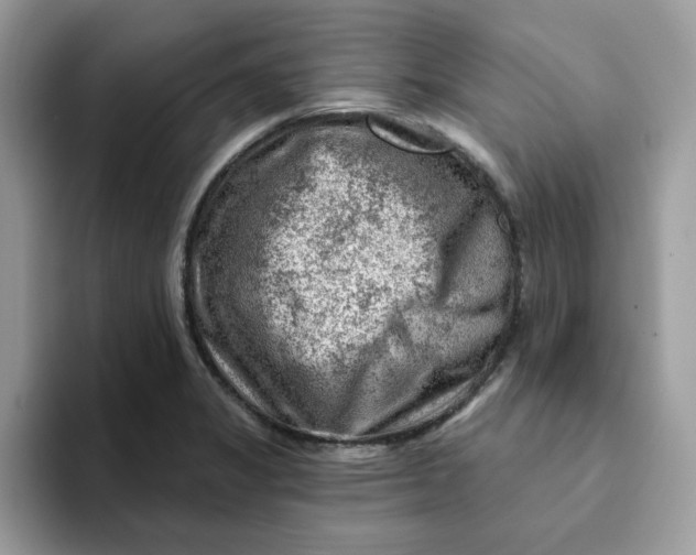 X0000093211325200710171334