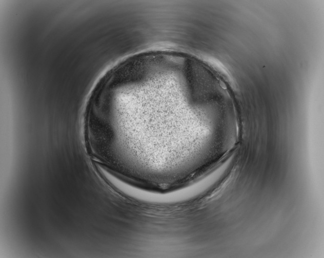 X0000093211326200710171334