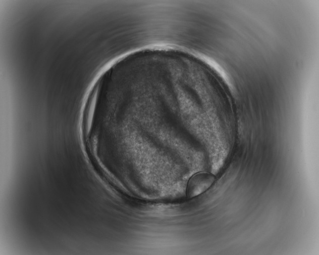 X0000093211327200710171334