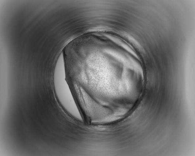 X0000093211329200710171334