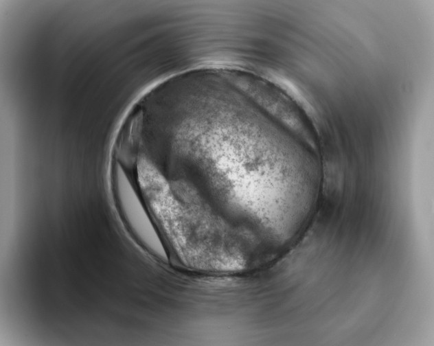 X0000093211331200710171334