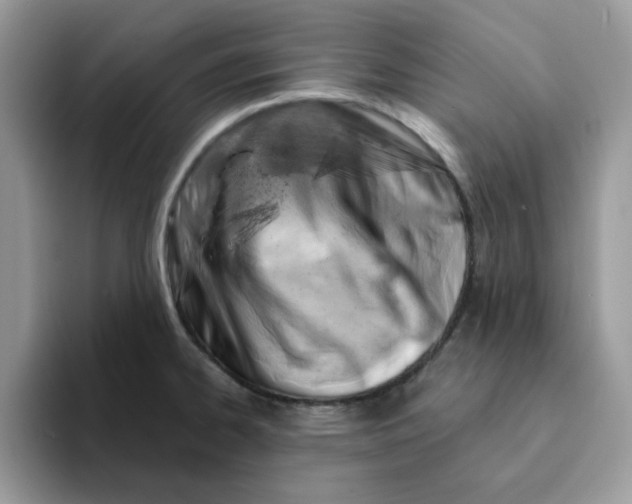 X0000093211334200710171334