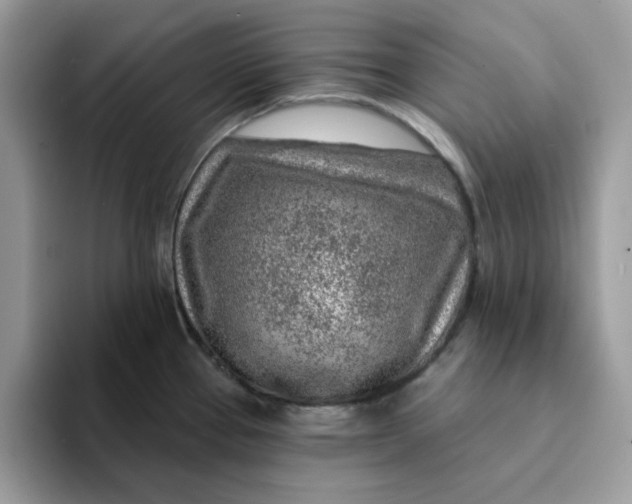 X0000093211337200710171334