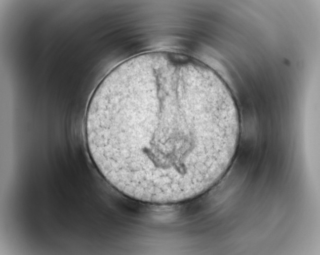 X0000093211338200710171334