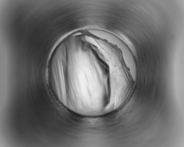 X0000093211340200710171334