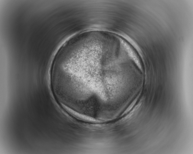 X0000093211341200710171334