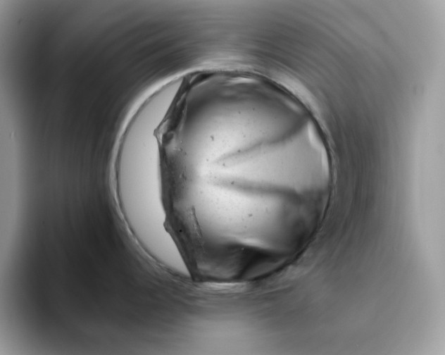 X0000093211344200710171334