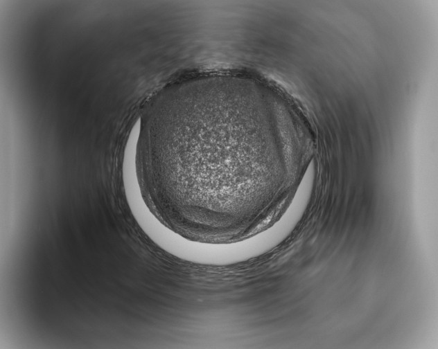 X0000093211348200710171334