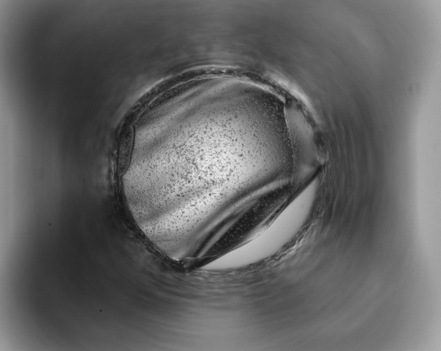 X0000093211352200710171334