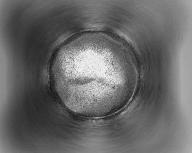 X0000093211354200710171334