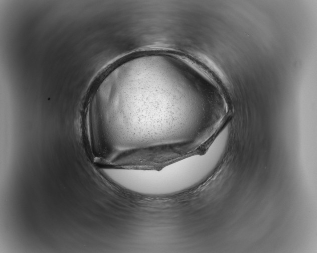 X0000093211356200710171334