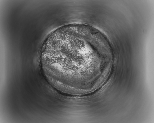 X0000093211359200710171334