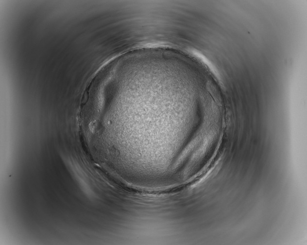 X0000093211361200710171334