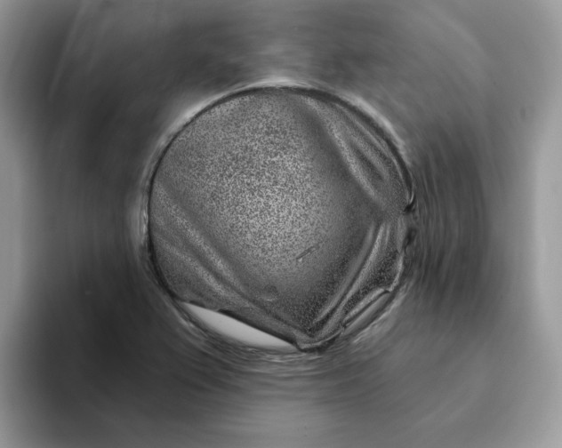 X0000093211367200710171333