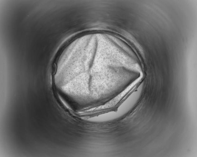 X0000093211368200710171333