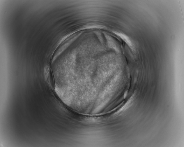 X0000093211369200710171333