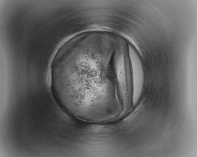 X0000093211371200710171333