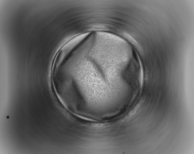 X0000093211378200710171333