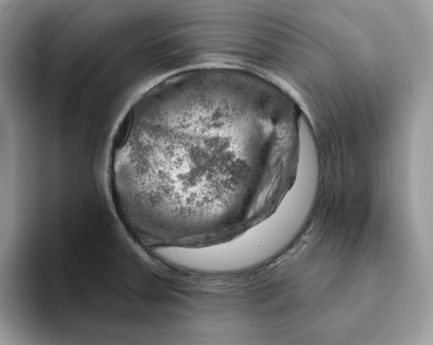 X0000093211379200710171333