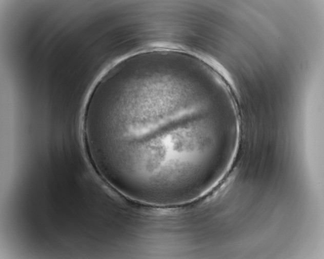 X0000093211381200710171333