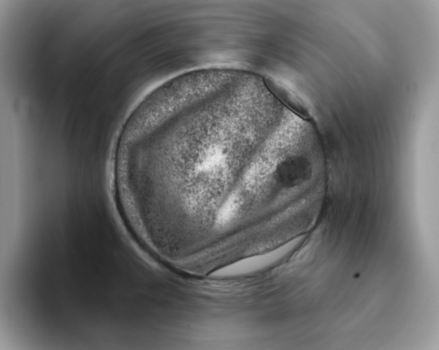 X0000093211383200710171333