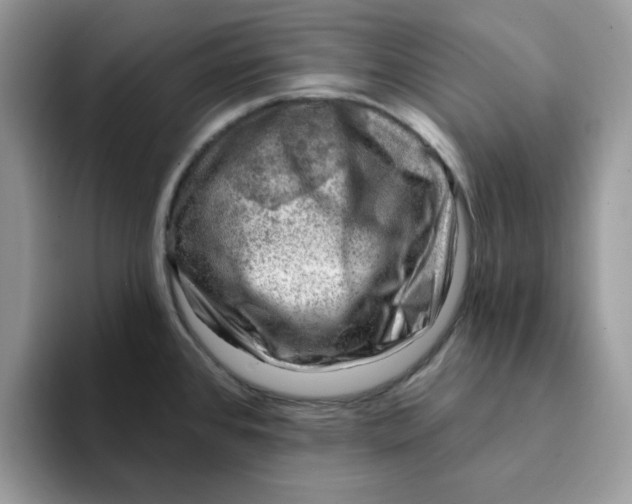 X0000093211384200710171333