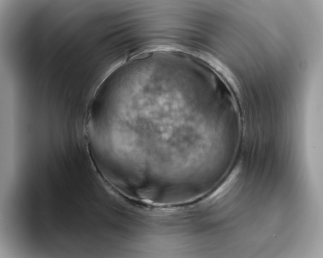 X0000093211385200710171333